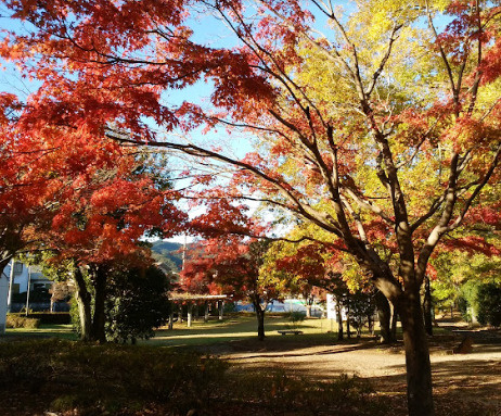 【公園】中の田公園まで1447ｍ