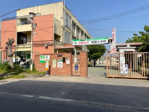 【小学校】樟葉小学校まで738ｍ