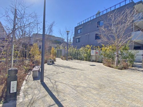 【公園】富ヶ谷しだれ桜公園まで294ｍ