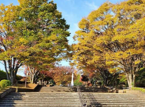 【公園】横山公園まで1068ｍ