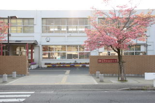 【小学校】流山市立　江戸川台小学校まで427ｍ