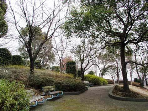 【公園】鳶尾中央公園まで1087ｍ