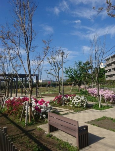【公園】辻堂西海岸2丁目公園まで656ｍ