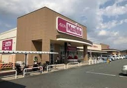【スーパー】マックスバリュ溝口店まで1453ｍ