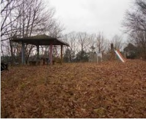 【公園】御立前山公園まで143ｍ