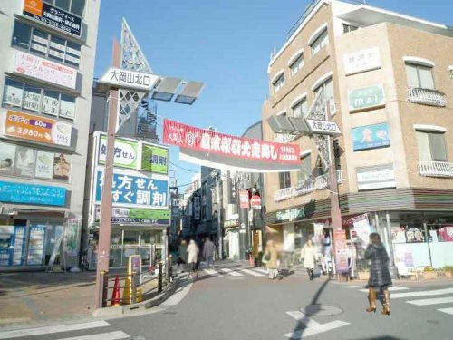 【その他】大岡山北口商店街まで898ｍ