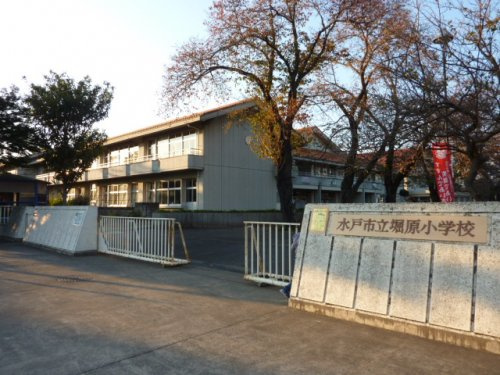 【小学校】水戸市立堀原小学校まで776ｍ