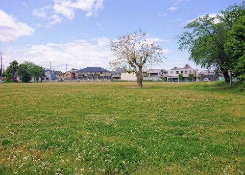 【公園】ことぶき広場まで1161ｍ