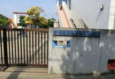 【幼稚園】白鳥幼稚園（平塚市）まで1317ｍ