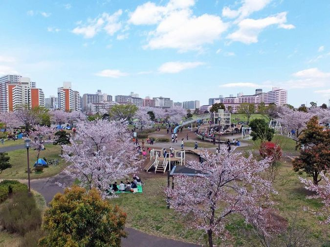 【公園】大島小松川公園まで640ｍ