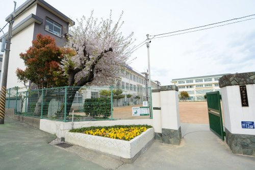 【中学校】神戸市立原田中学校まで778ｍ