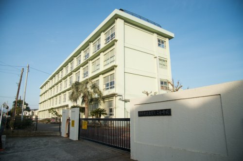 【小学校】平塚市立なでしこ小学校まで419ｍ