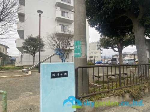 【公園】鮫川公園まで4ｍ