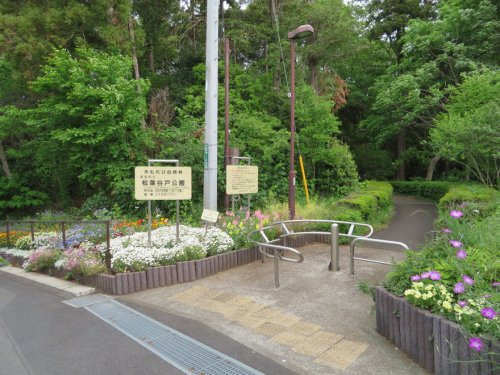 【公園】松葉公園まで569ｍ