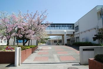 【小学校】並木中央小学校まで279ｍ