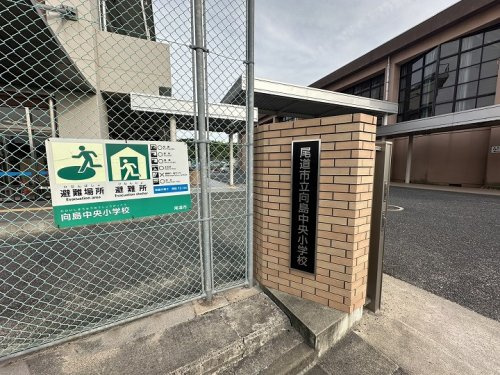 【小学校】尾道市立　向島中央小学校まで681ｍ