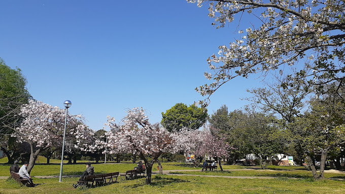 【公園】早稲田公園まで298ｍ