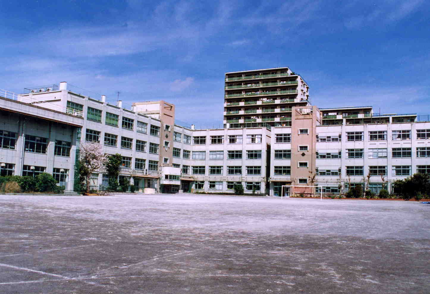 【中学校】江戸川区立松江第三中学校まで401ｍ