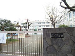【小学校】江戸川区立大杉小学校まで228ｍ