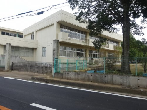 【小学校】沼崎小学校まで1564ｍ