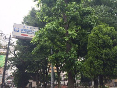 【公園】板橋駅前公園まで136ｍ