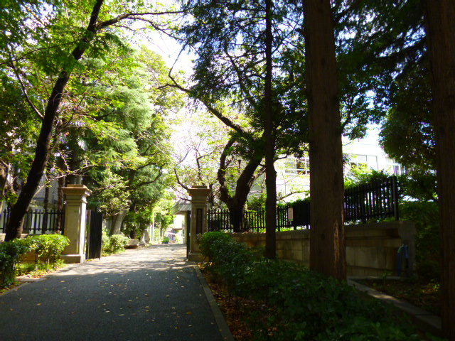 【中学校】文京区立第三中学校まで209ｍ