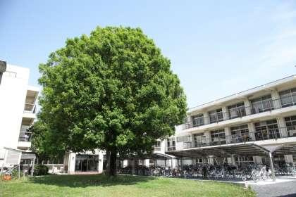 【中学校】橋本市立橋本中央中学校まで995ｍ