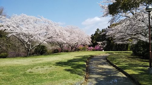 【公園】杉村公園まで3840ｍ