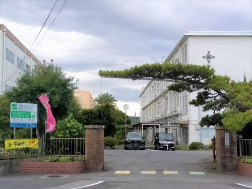 【小学校】静岡市立清水岡小学校まで1126ｍ