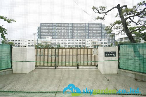 【中学校】茅ヶ崎市立梅田中学校まで1390ｍ
