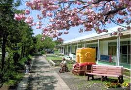 【幼稚園】平塚市立ひばり幼稚園まで729ｍ
