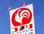 【ホームセンター】コメリハード＆グリーン　今市大沢店まで1603ｍ