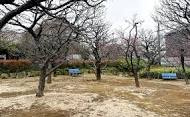 【公園】西嶺高砂公園まで595ｍ