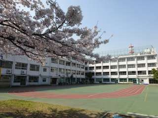 【小学校】台東区立石浜小学校まで800ｍ