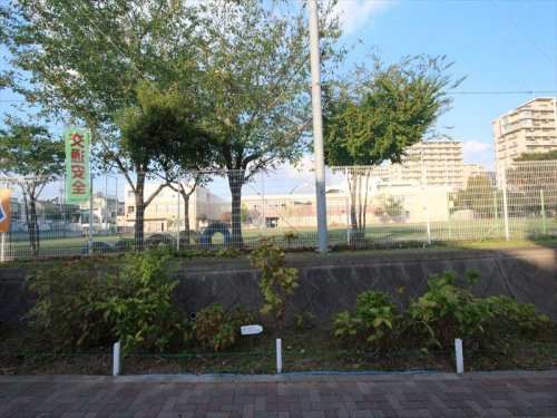 【小学校】富士見市立つるせ台小学校まで290ｍ