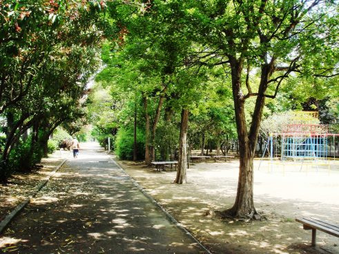 【公園】土居川公園まで971ｍ