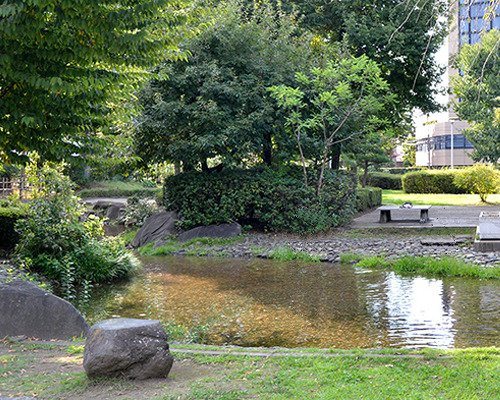 【公園】せせらぎの里の池まで154ｍ