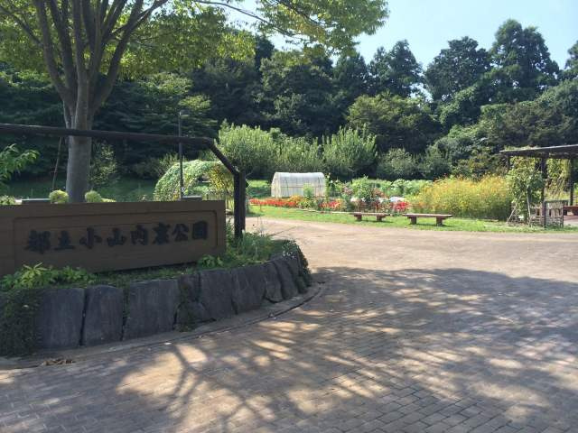 【公園】小山内裏公園まで1591ｍ