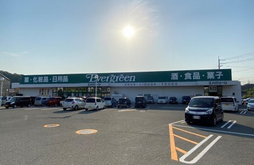 【ドラッグストア】エバグリーン海南店まで391ｍ