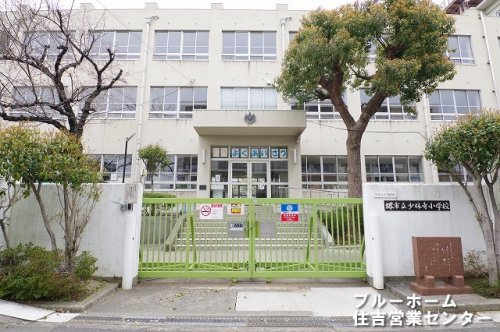 【小学校】堺市立少林寺小学校まで239ｍ
