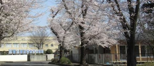 【小学校】鶴ヶ島市立杉下小学校まで917ｍ