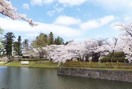 【公園】鶴岡公園まで742ｍ