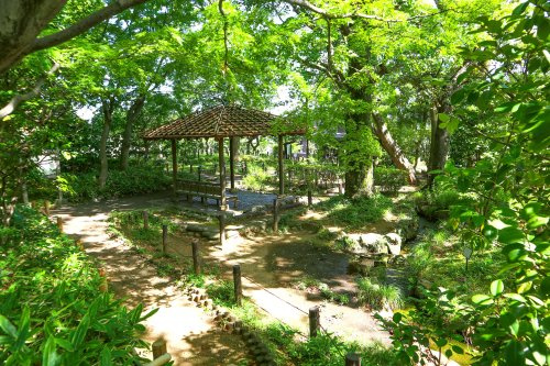 【公園】蘇峰公園まで660ｍ
