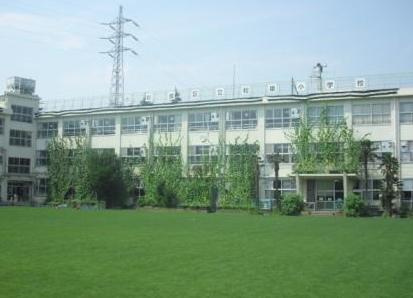 【小学校】杉並区立　和泉小学校まで597ｍ