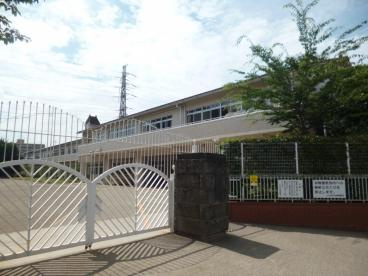【幼稚園】上石神井幼稚園まで705ｍ