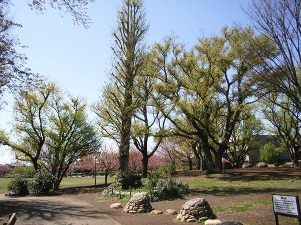 【公園】立野公園まで634ｍ