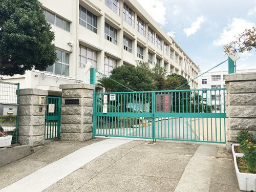 【小学校】神戸市立白川小学校まで440ｍ