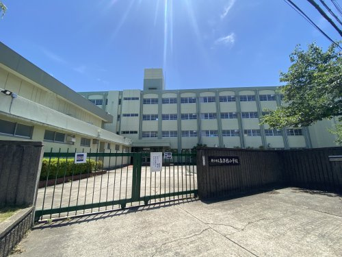 【小学校】神戸市立高津橋小学校まで440ｍ