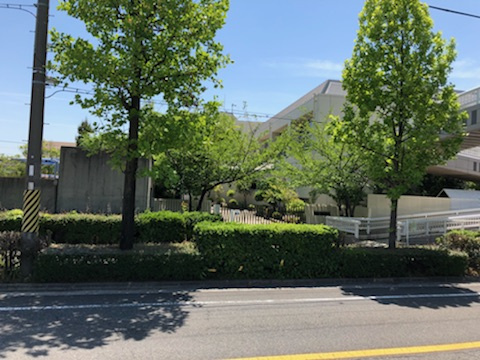 【小学校】打出浜小学校まで629ｍ