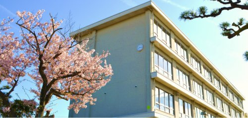 【小学校】浜松市立追分小学校まで317ｍ